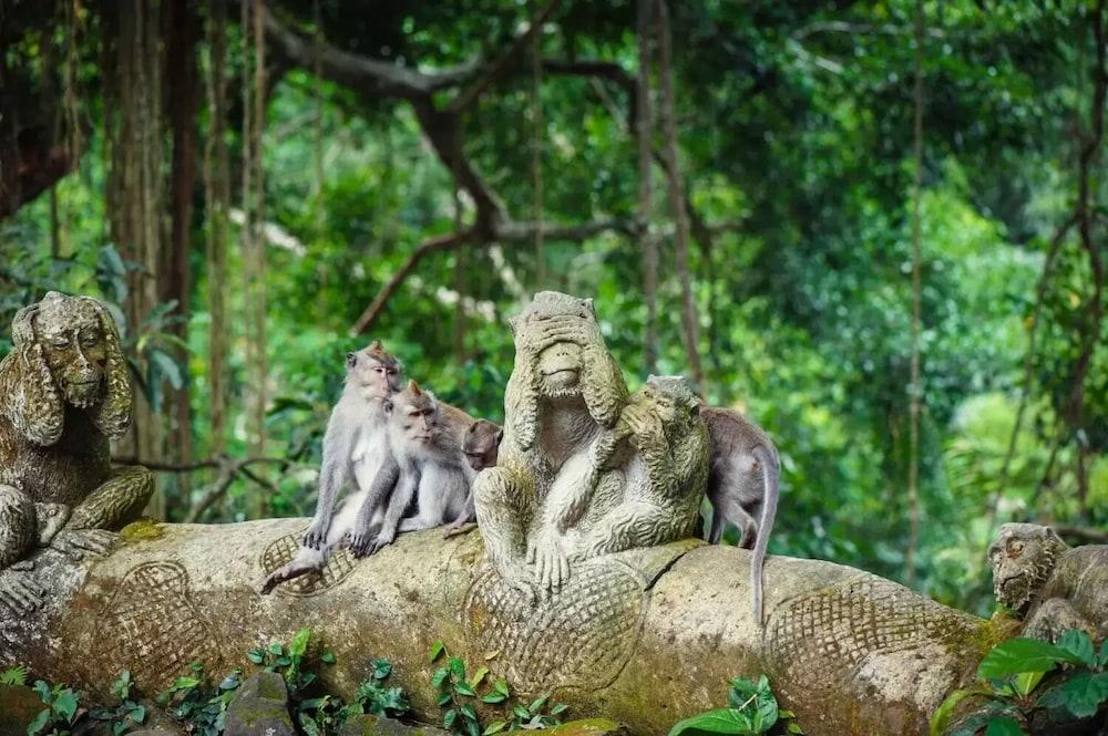 Puri Padi Hotel Ubud Buitenkant foto