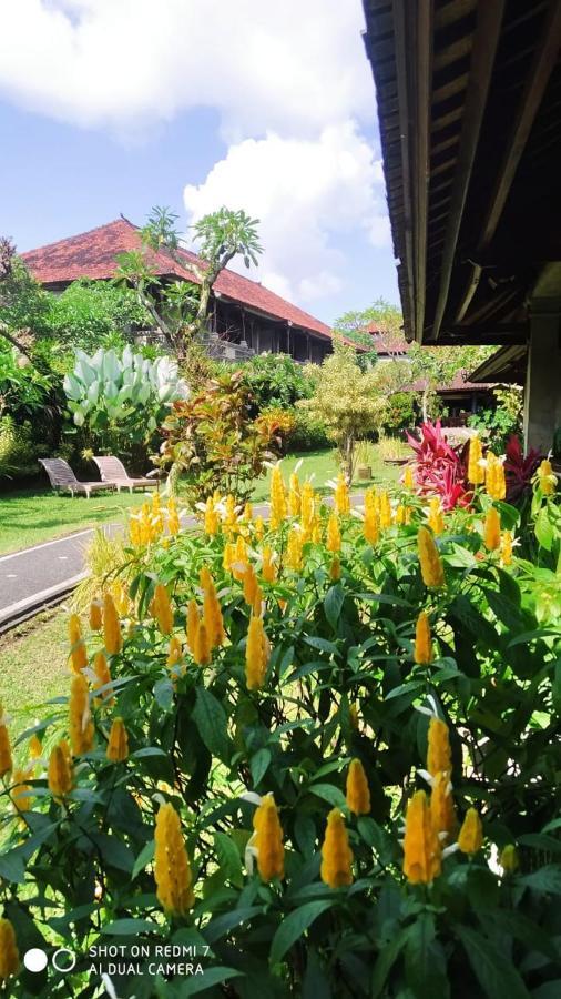 Puri Padi Hotel Ubud Buitenkant foto
