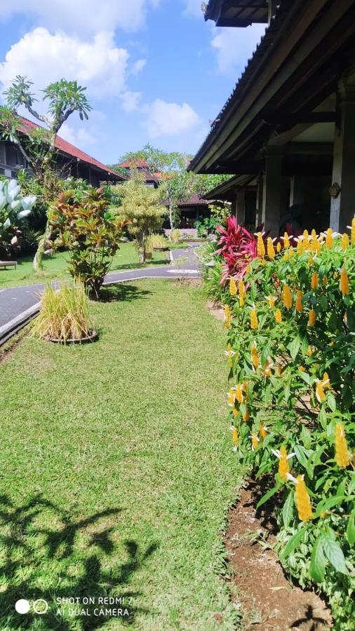 Puri Padi Hotel Ubud Buitenkant foto
